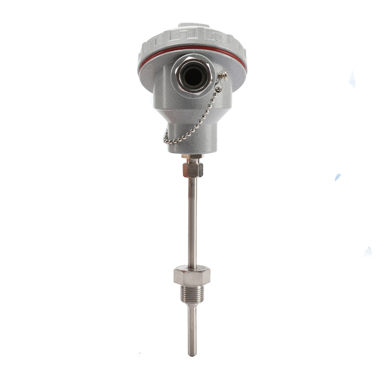 Explosionproof armored RTD sensor Huanya